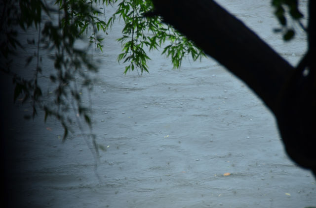 雨霁枕河：杭州枕河居民宿的煙雨水墨圖