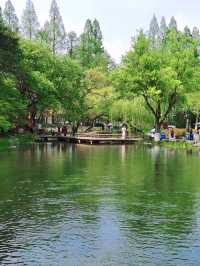 我開啟了一場賞桃花之旅，在杭州西湖邊！