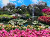🌺 維多利亞公園花卉展：悠閒賞花的好去處