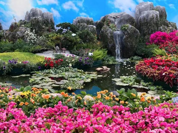 🌺 維多利亞公園花卉展：悠閒賞花的好去處