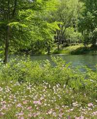 虎丘濕地公園