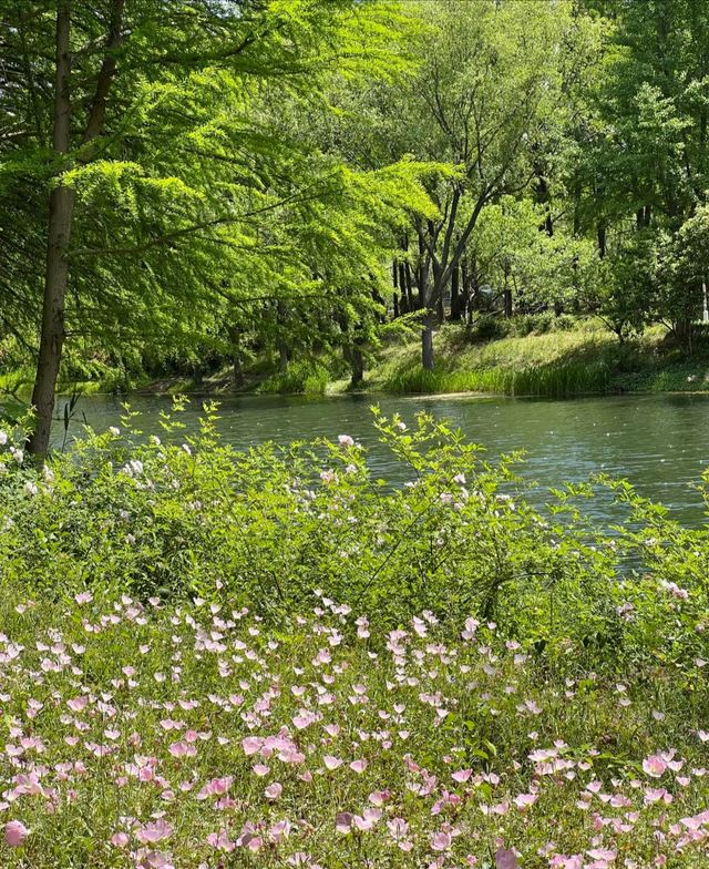 虎丘濕地公園
