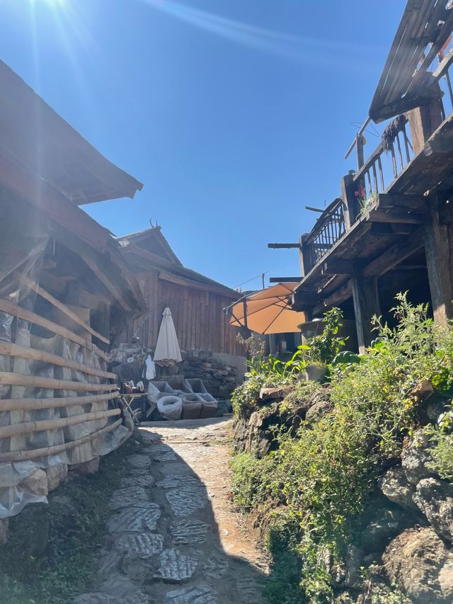嘩塞！親們，我要給你們揭秘一個雲南嘅寶藏秘境——景邁山！