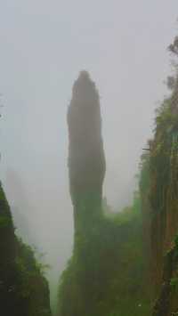 雨中漫步莽山：霧靄深處的奇幻仙蹤