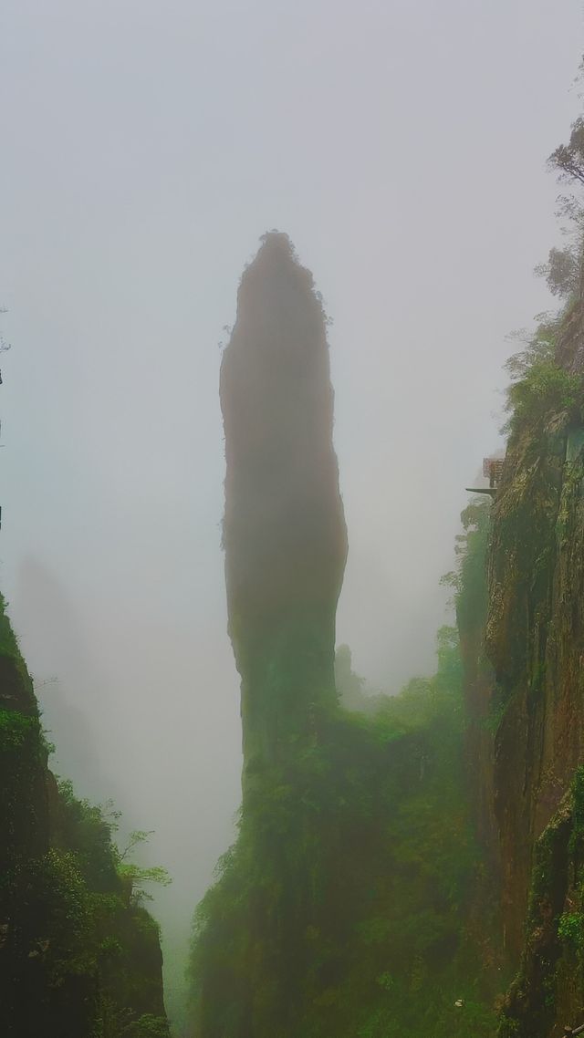 雨中漫步莽山：霧靄深處的奇幻仙蹤