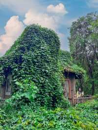 住進森林童話樹屋！原來童話裡的綠野仙蹤真的存在