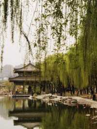 千年曲江池遺址公園遊玩攻略，盛世長安遊