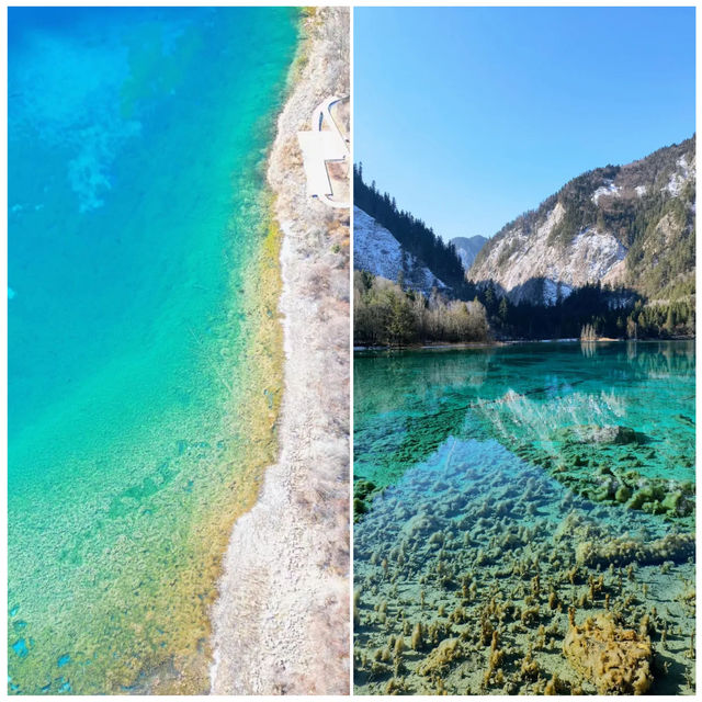 九寨溝的初夏：這才是仙境應有的模樣