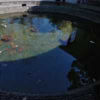成都春日漫遊｜在浣花溪公園邂逅詩意與花開