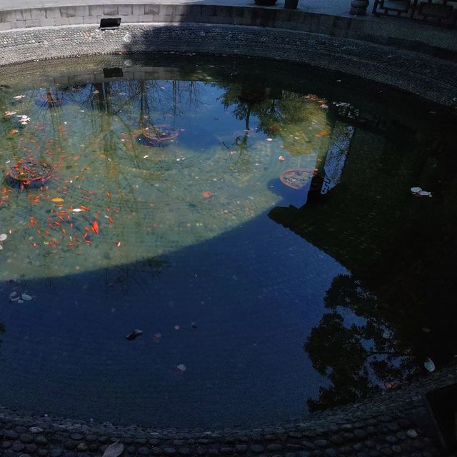 成都春日漫遊｜在浣花溪公園邂逅詩意與花開