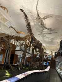 Roar-some Dinosaur Exhibits At The Natural History Museum Of Taiwan 