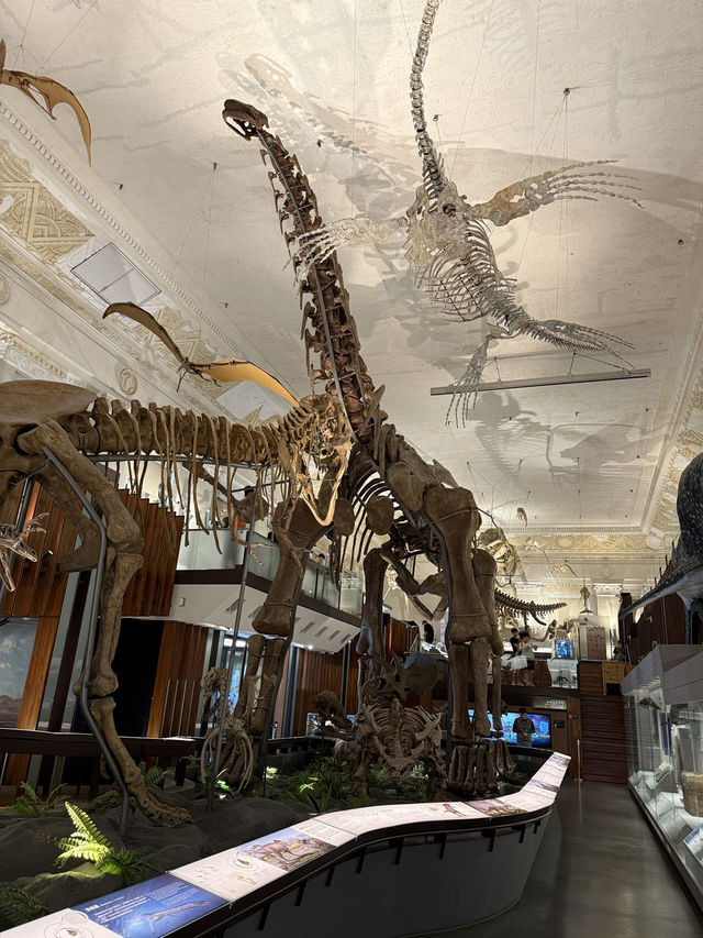 Roar-some Dinosaur Exhibits At The Natural History Museum Of Taiwan 