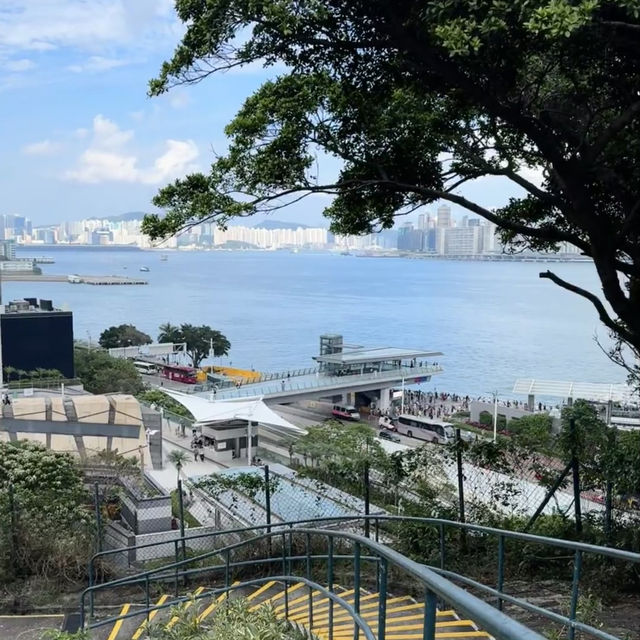香港小眾秘境 | 訊號山花園深度遊🌸