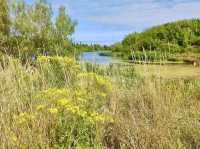 Explore Nature’s Hideaway: Cleethorpes Country Park!