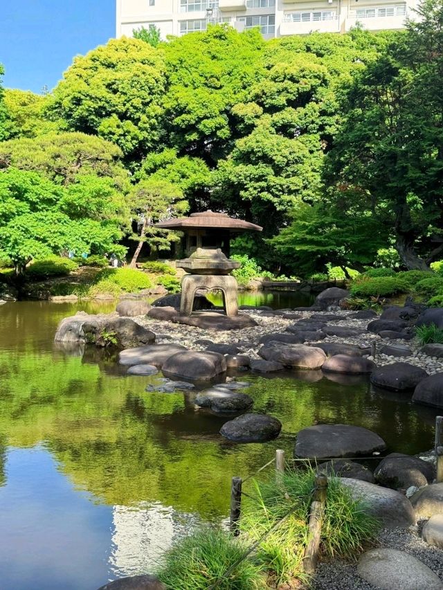 舊古河庭園交通攻略：輕鬆抵達日西融合庭園