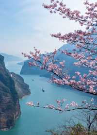 好超前的郵輪！在長江三峽上住105平套房。