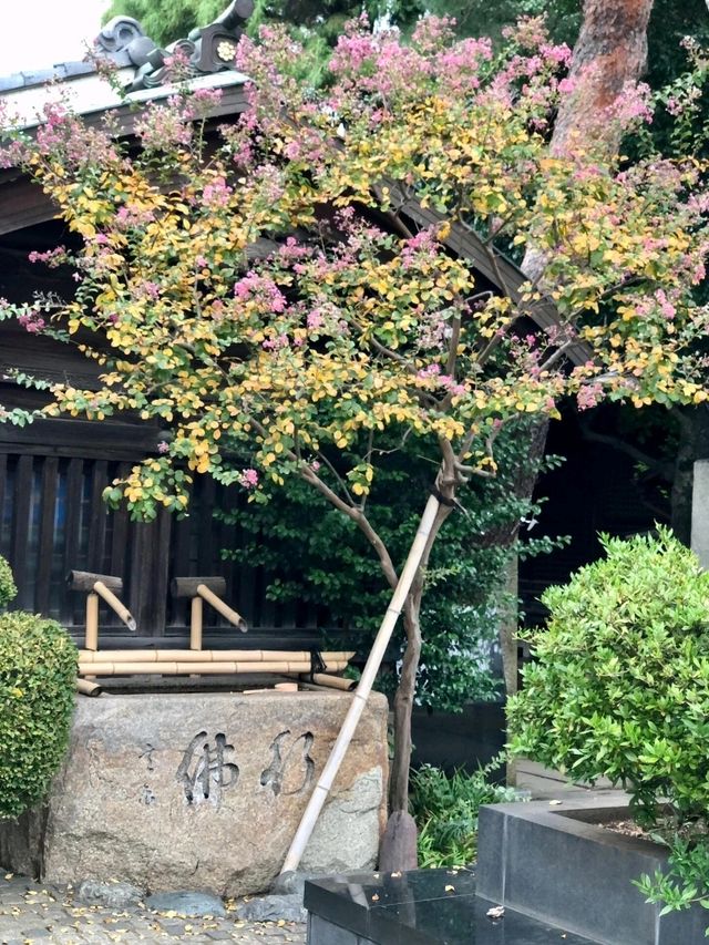 東京出發！川越小江戶交通攻略 