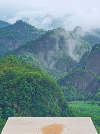 Wuyishan Parent-Child Trip of the Year! 5-Year-Old Picks Tea by Day, Chases Fireflies by Night