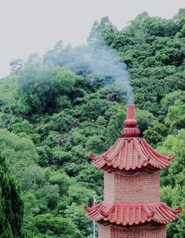 漳州千年古剎：龍池岩寺