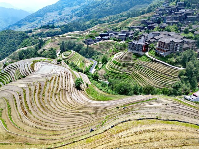 人少景靚仲有節慶！龍脊梯田6月限時仙境