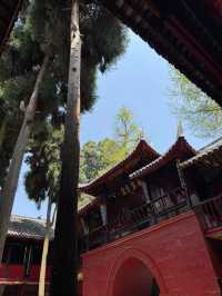 帶小朋友嚟呢度！青城山嘅親子度假寶藏地