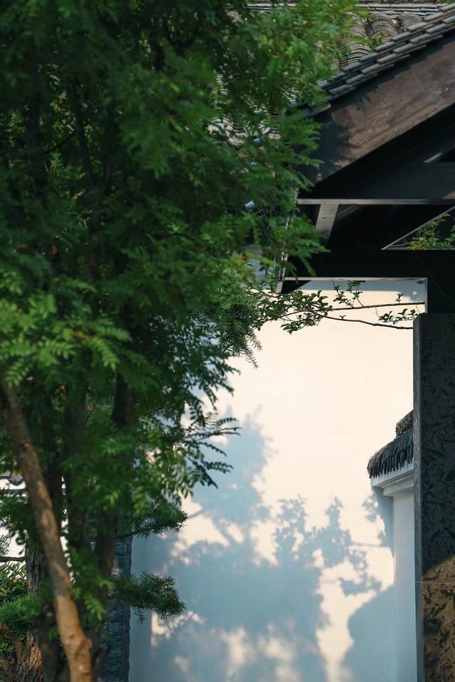 故園今夢 | 入住盛夏嘅莊昇曉月園林酒店