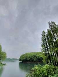 🌸 《夢回紅樓・上海大觀園》