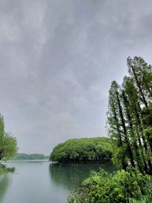 🌸 《夢回紅樓・上海大觀園》