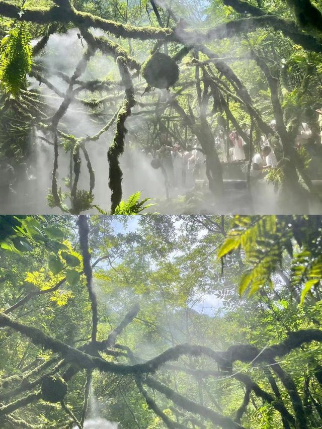 闖進現實版綠野仙蹤！重渡溝超詳細攻略