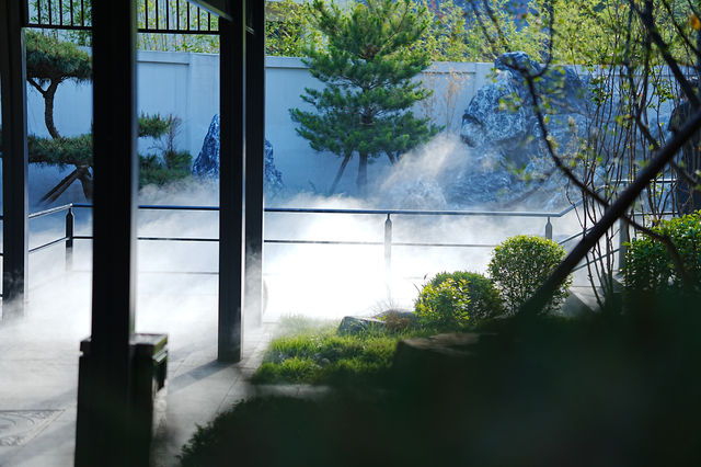 北京六月｜喺胡同蟬鳴裡，私藏一池夏日清涼