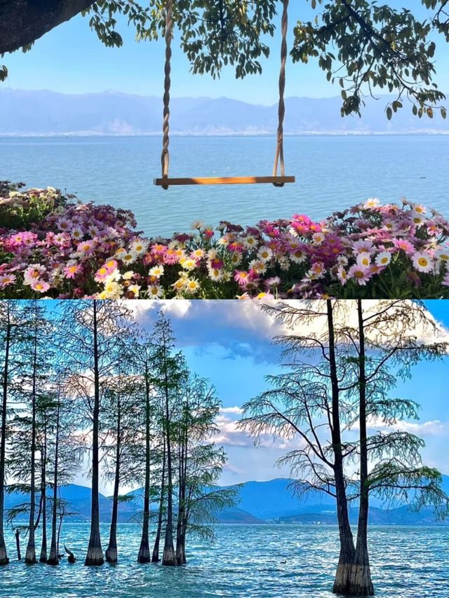 大理最美嘅地方，原來都係免費嘅
