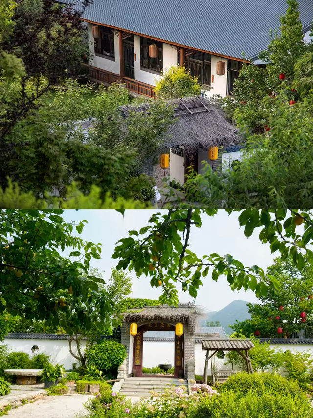 大連山居秋暉｜偶遇嘅半山民宿，將暑假過成詩