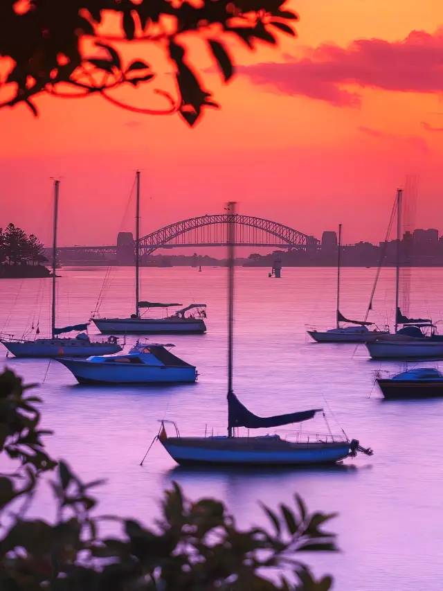 Sydney Sunset｜Check out the god-tier sunset in your phone album