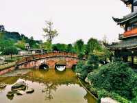 Ya'an's Beauty: Emerald Gateway to Tibet, Veiled in Mist, Nourished by Rivers, Rooted in Tea