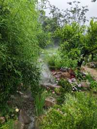 琵琶里霧森花海｜南北湖新晉仙境，每一步都係網紅大片！