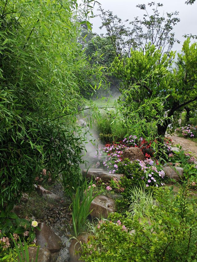 琵琶里霧森花海｜南北湖新晉仙境，每一步都係網紅大片！