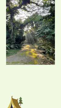 來大馬HiKing見證不一樣的風景