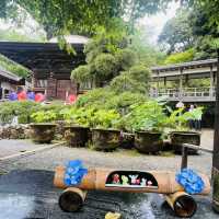 🌊 Ibaraki Summer Adventure: Hidden Gems Near Tokyo!