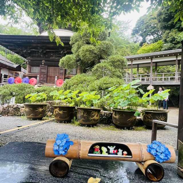🌊 Ibaraki Summer Adventure: Hidden Gems Near Tokyo!