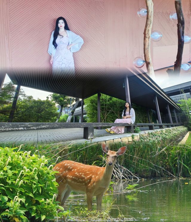 夏日限定，蘇州太湖邂逅橘子海般嘅浪漫日落