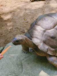 帶小朋友去動物園就啱晒！！！