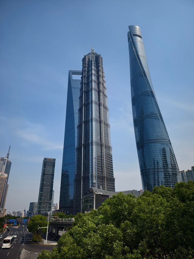 上海之巔打卡指南