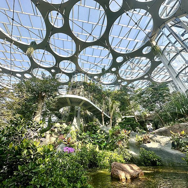 9 Kid-Friendly Day Trips from Shanghai for Family Fun ❤️