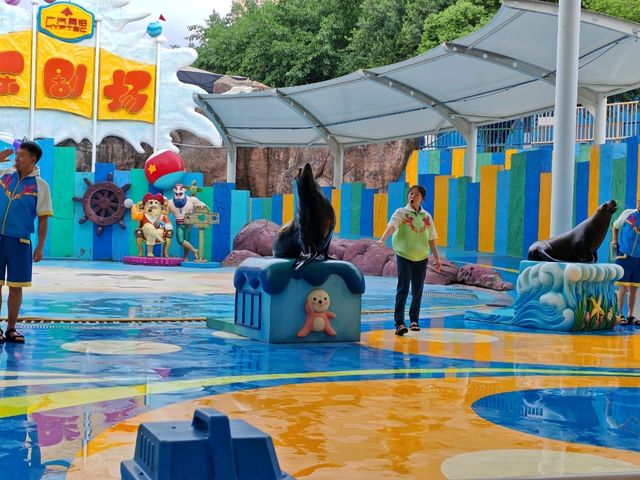 成都極地海洋公園深度漫遊指南｜避開人潮的私房攻略