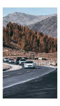 這條耗時10年、耗資8億嘅旅遊公路終於通車啦