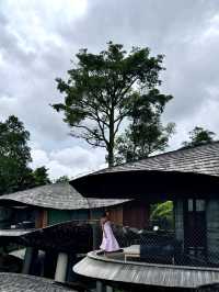 Banyan Tree in Singapore Rainforest Resort😍♥️