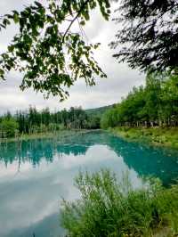藍色的北海道白金青池