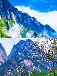 世道滄桑 我有何不敢上仙山