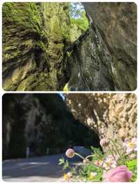 甘肅鵝嫚溝丨雪峰丨草甸丨森林丨荒原丨有著美麗傳說嘅地方
