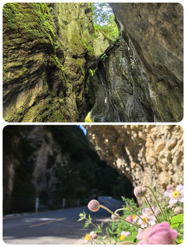甘肅鵝嫚溝丨雪峰丨草甸丨森林丨荒原丨有著美麗傳說嘅地方